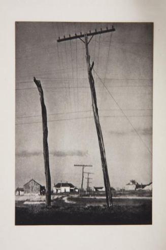 Photograph by John Bentham.