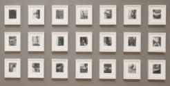 Lorna Simpson's Details, as installed in the Wellin's fall 2017 exhibition "Innovative Approach…