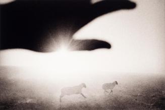 © Matt Black. Image courtesy of Light Work, Syracuse, NY. For educational purposes only.