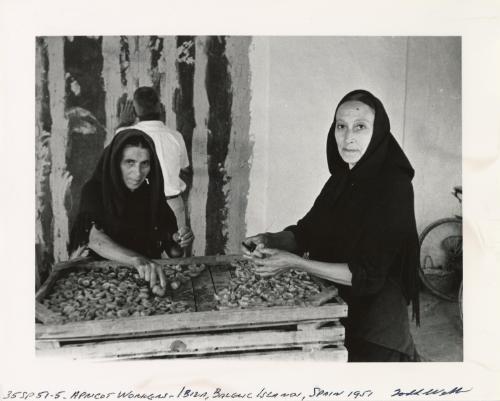 Apricot Workers, Ibiza, Balearic Islands, Spain, 1951