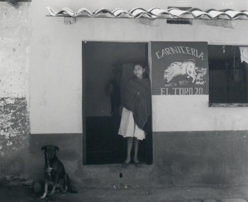 El Perro Veinte (Dog Twenty)
