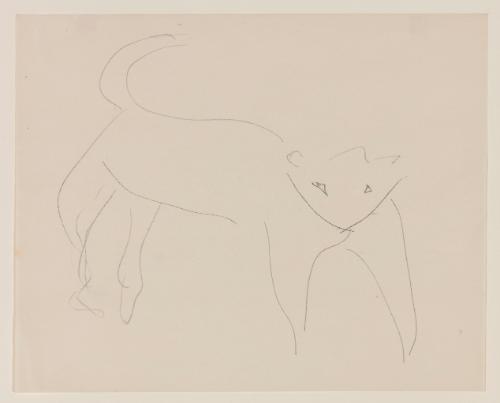 Photo by John Bentham.