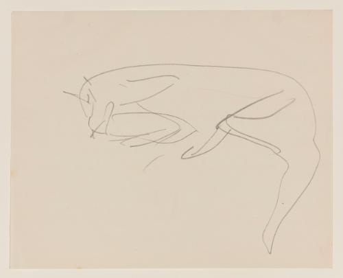 Photo by John Bentham.