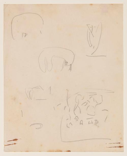 Photo by John Bentham.