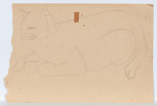 Photo by John Bentham.