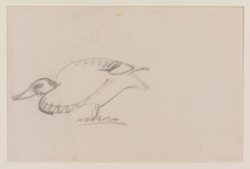 Photo by John Bentham.