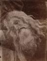 Detail of Moses's head from "Scenes from the Life of Moses"