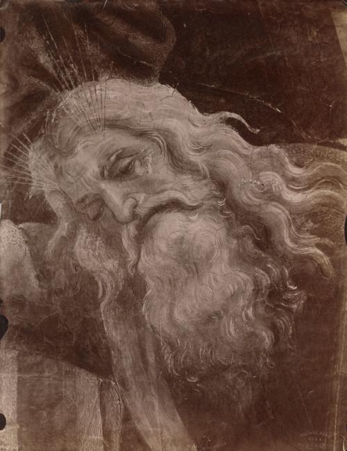 Detail of Moses's head from "Scenes from the Life of Moses"