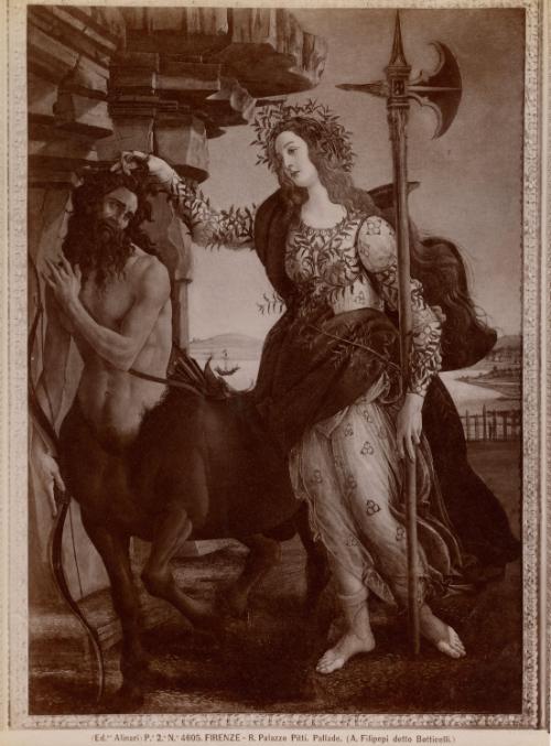 Firenze - R. Palazzo Pitti. Pallade