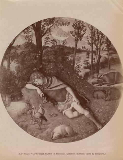 Parma - R. Pinacoteca. Endimione dormente