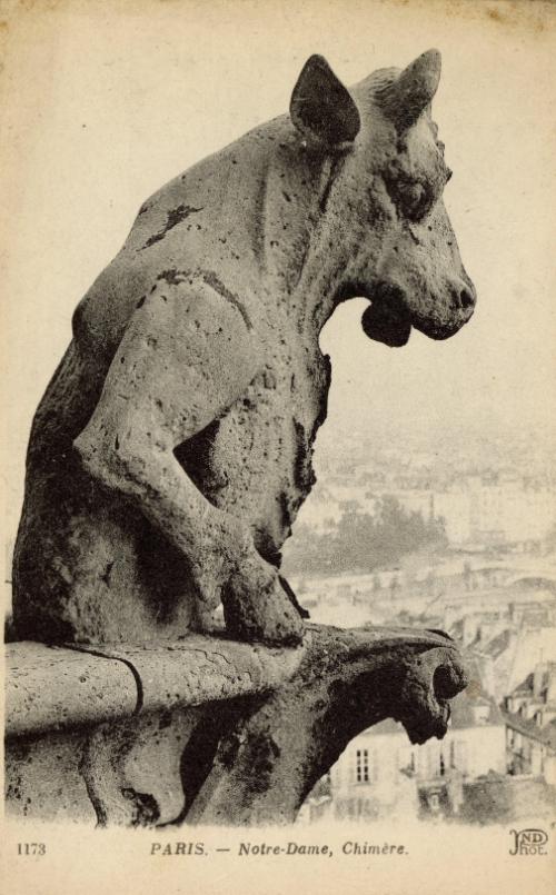 Paris: Notre-Dame, Chimere.