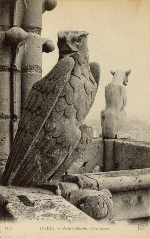 Paris. - Notre-Dame, Chimeres.