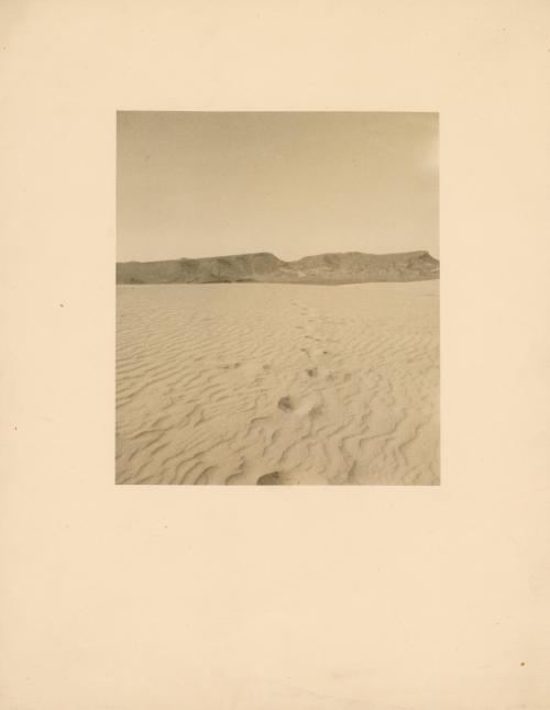 Desert landscape, Algeria