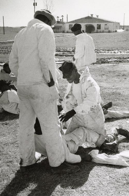 Prisoners working in the Cummins Unit or farm area of the Arkansas State Penitentiary fighting, Cummins, Arkansas