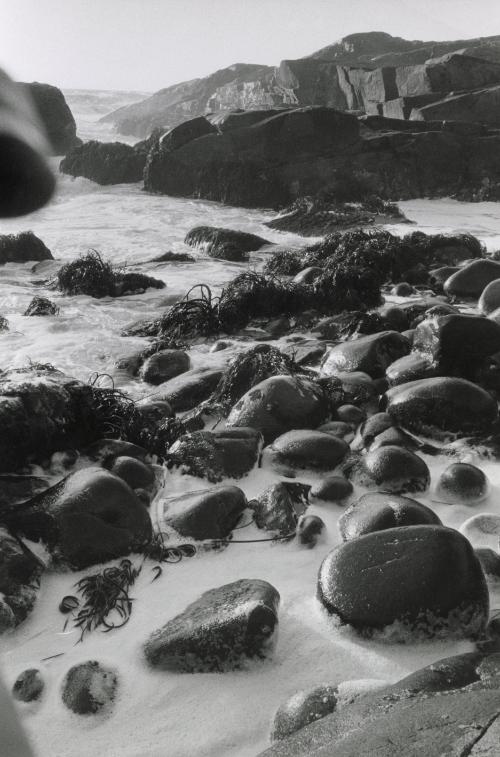 Ocean landscape with rocks covered in seaweed, Chile
