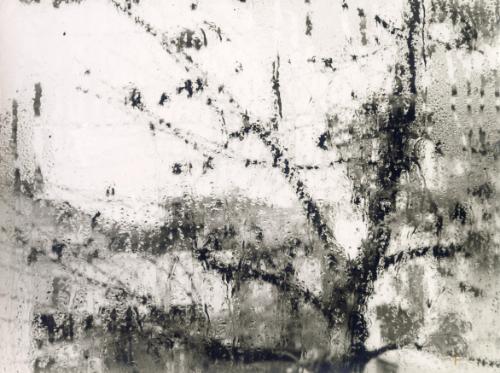 Finestra d’autunno (autumnal window)