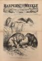 The European Congress, from "Harper's Weekly"