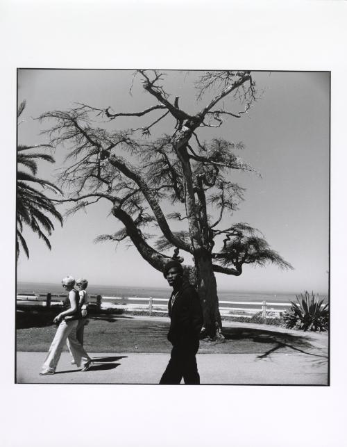 Black Man and Two Blonde Women Walking By Dead Tree