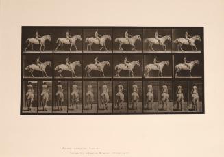 Eadweard Muybridge