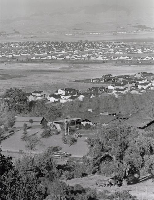Untitled (Aerial view with horses)