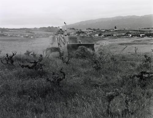 Untitled (Bulldozer)