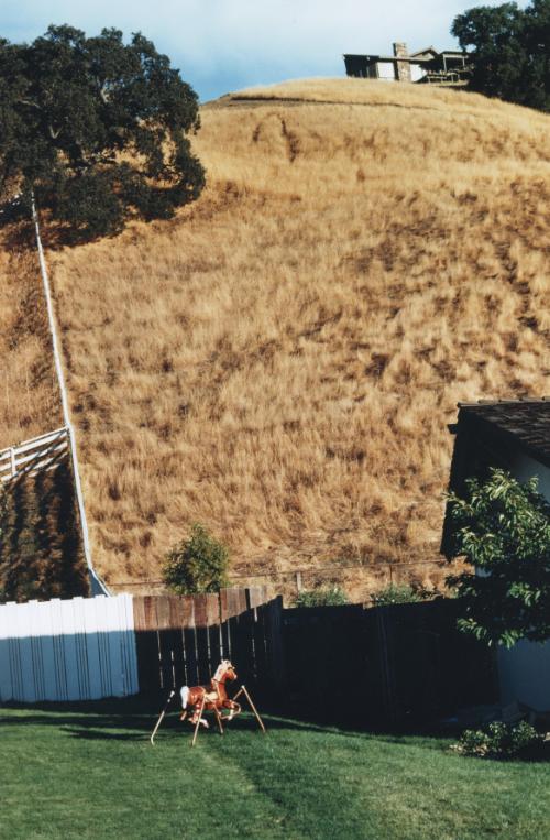 Rocking Horse in Backyard, Tri-Valley Area, Northern California