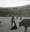 Bullfight, Cordone, Spain