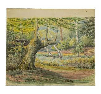 Photo by Mark DiOrio.