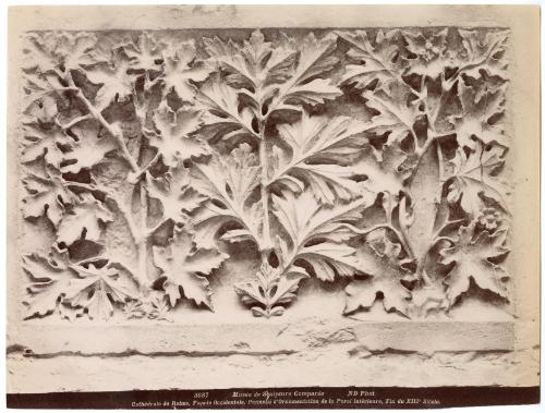 Cathédrale de Reims, Façade Occidentale, Panneau d'Ornementation de la Paroi intérieure, Fin du XIIIe Siècle