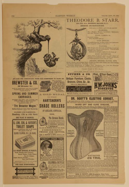 At Last the Democratic Tiger Has Something to Hang On