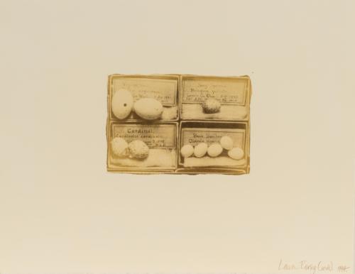 © Laura Baring-Gould. Photo by Mark DiOrio.