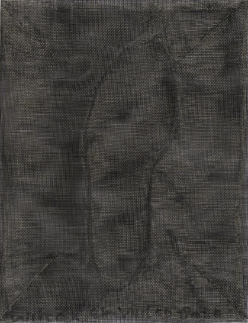 © Leslie Wilcox. Photo by Mark DiOrio.