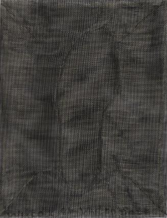 © Leslie Wilcox. Photo by Mark DiOrio.