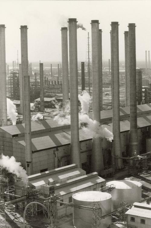 © Abbas Attar / Magnum Photos.