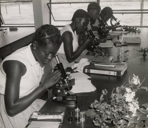 Federal Advanced Teacher's College, Lagos, Nigeria, Africa