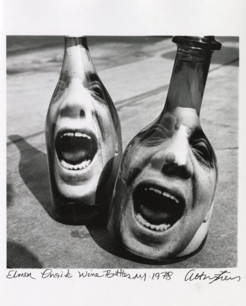 Elmer Inside Wine Bottles, New York