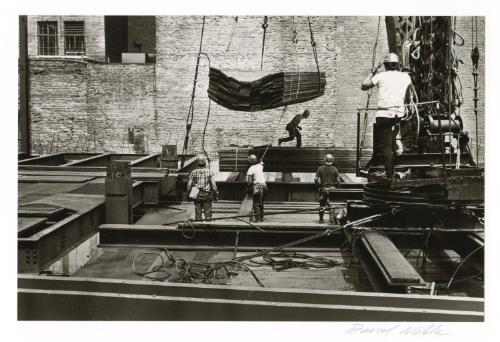 © David Grant Noble.