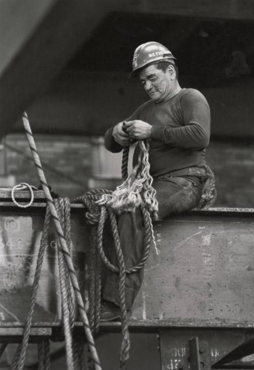 © David Grant Noble.