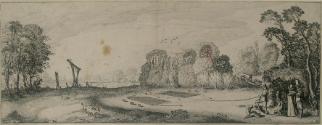 Man Netting Birds