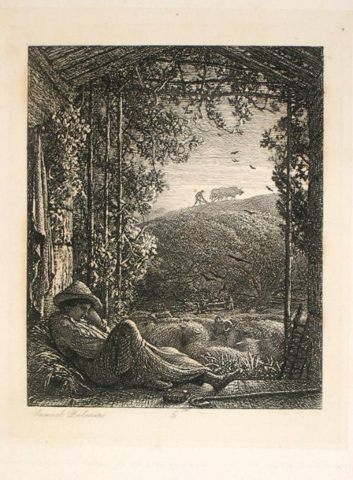 The Sleeping Shepherd - Early Morning