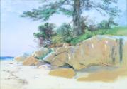 Untitled (Manchester, Massachusetts)